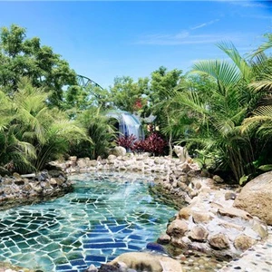 蘑菇视频森林氧吧温泉池自然环境