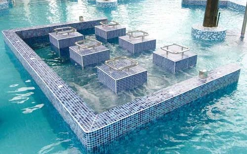 蘑菇视频养生攻略博客